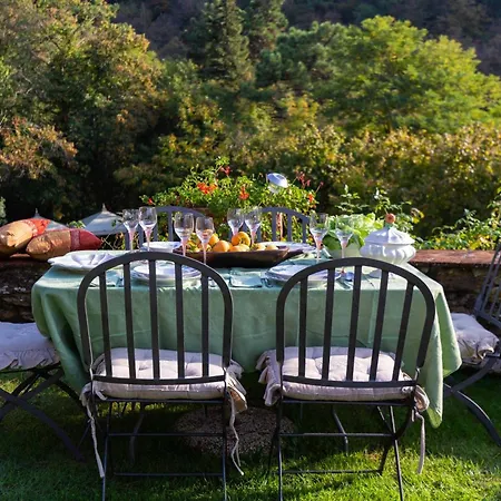 别墅 Nel Bosco, Charming Tuscan Retreat With Private Pool And View *