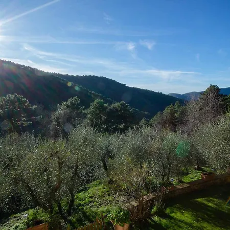 别墅 Nel Bosco, Charming Tuscan Retreat With Private Pool And View *