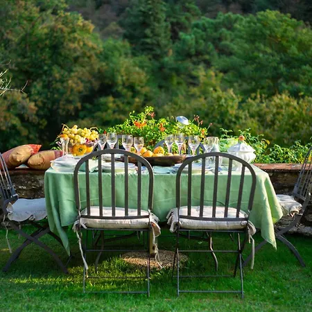 Nel Bosco, Charming Tuscan Retreat With Private Pool And View 别墅 卢卡