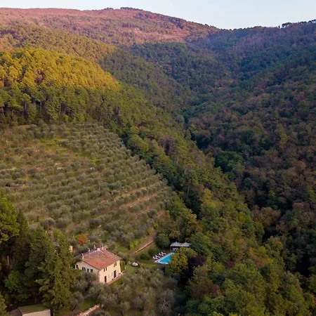 别墅 Nel Bosco, Charming Tuscan Retreat With Private Pool And View